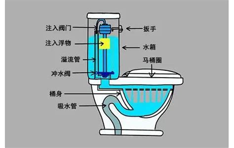 马桶 แปล|馬桶 